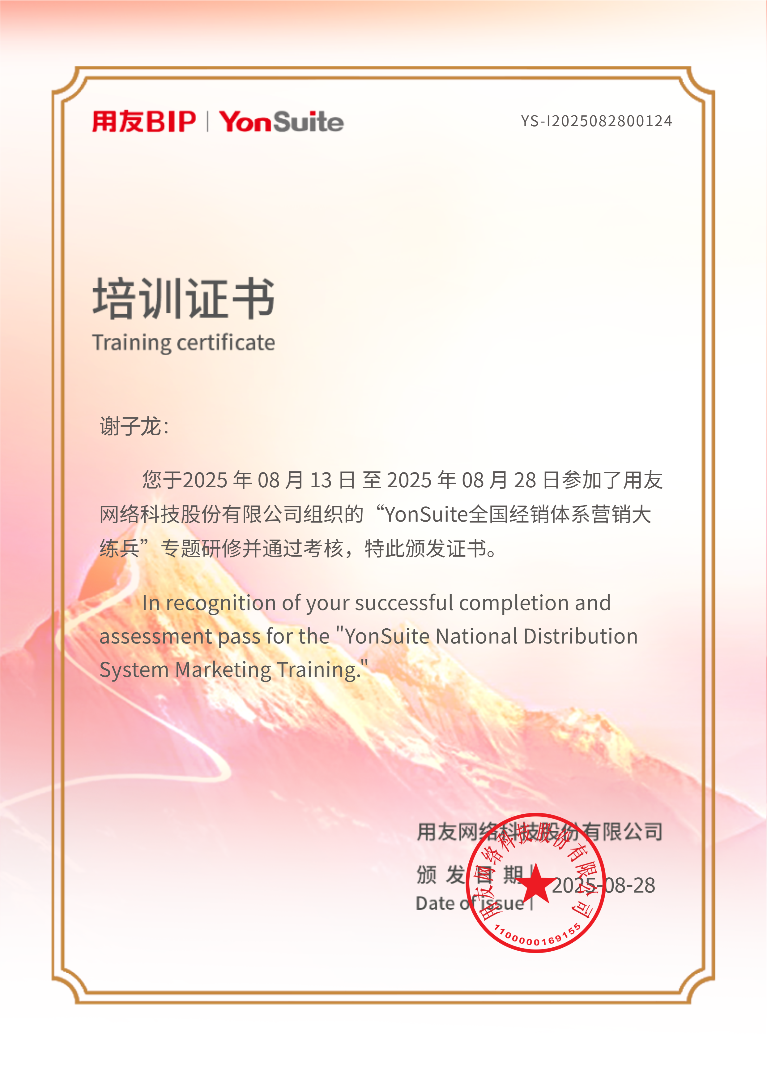 谢子龙 YonSuite 全国经销体系营销大练兵